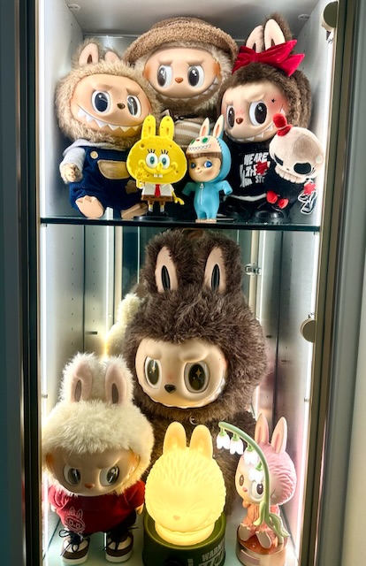 So, Why Do People Like Labubu? A Collector's Honest Answer.