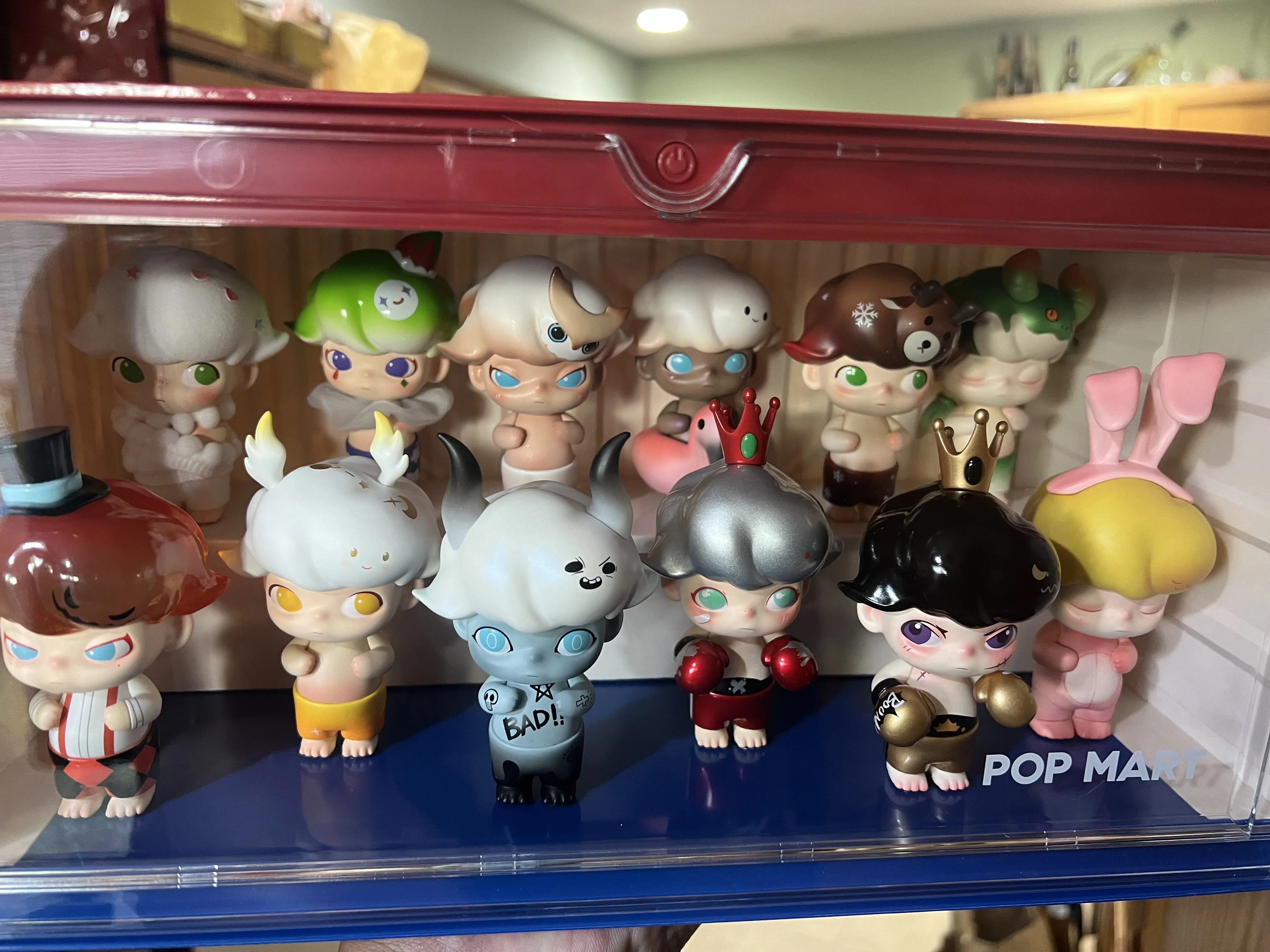 dimoo ディスプレイコンテナボックス animal kingdom DIMOO Animal Kingdom Series | Display Containers - POP MART