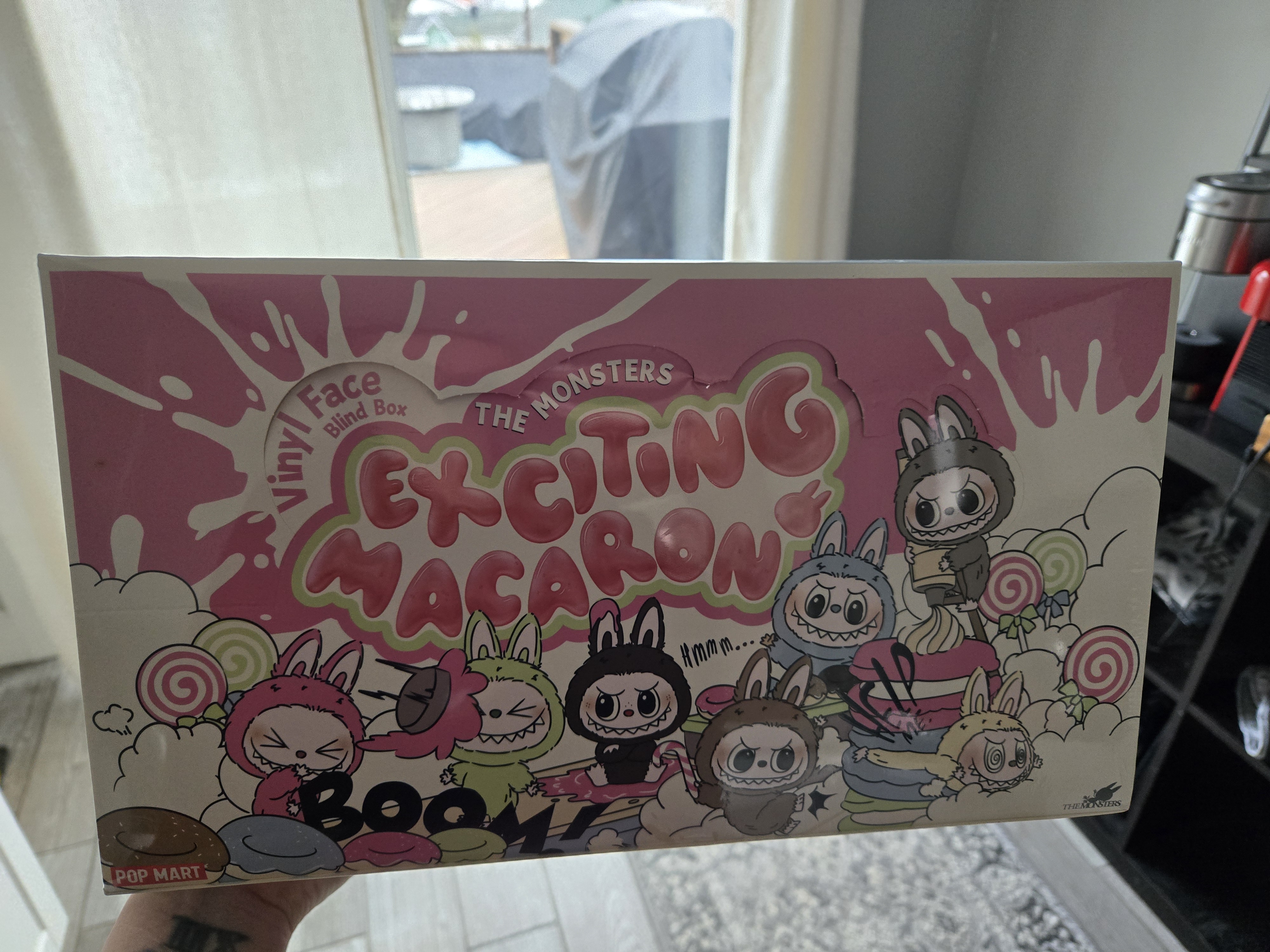 THE MONSTERS - Tasty Macarons Vinyl Face Blind Box | Blind