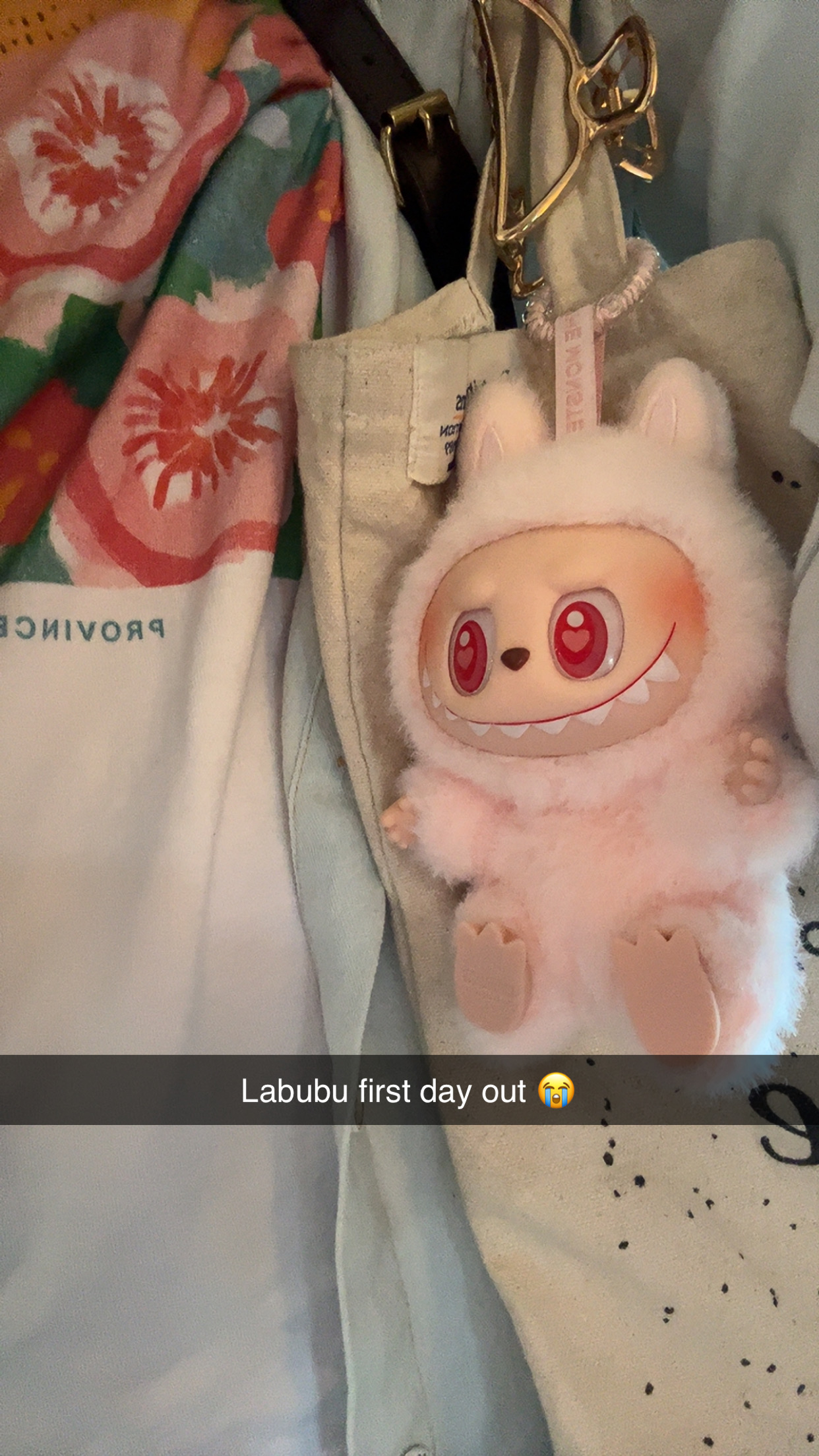 The Real Deal on LABUBU Monsters Clothes: Official vs. Fan-Made