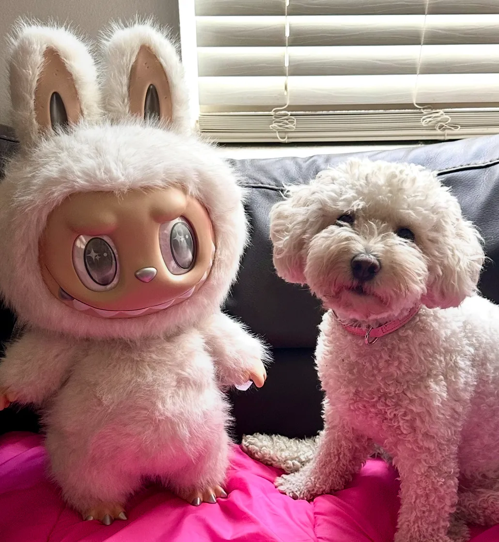 POP MART＆ANGEL IN CLOUDS THE MONSTERS - ANGEL IN CLOUDS Vinyl Face Doll - POP MART