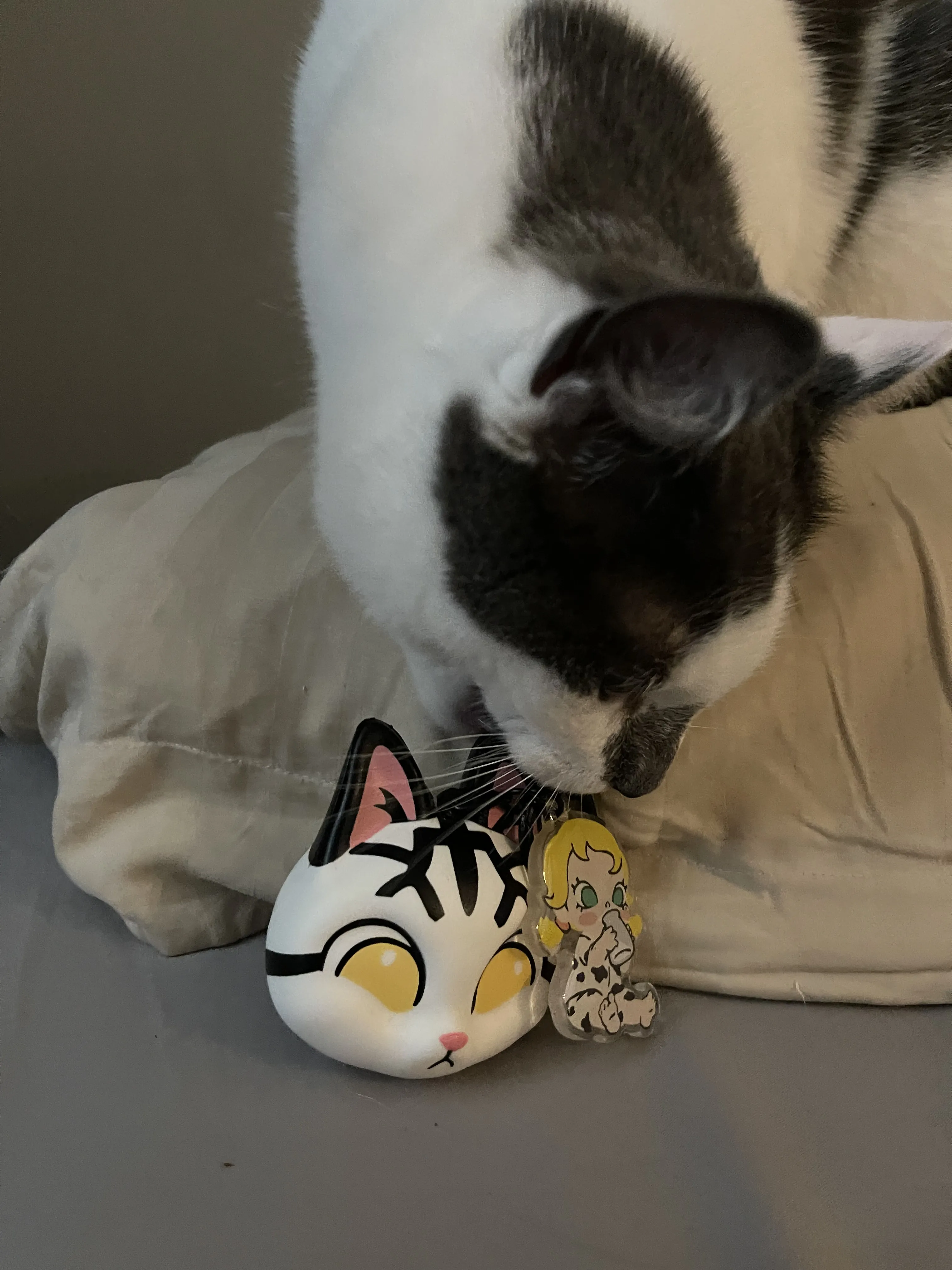 POP NOW:Baby Molly & Baby Tabby Series-Pinch Pendant Blind