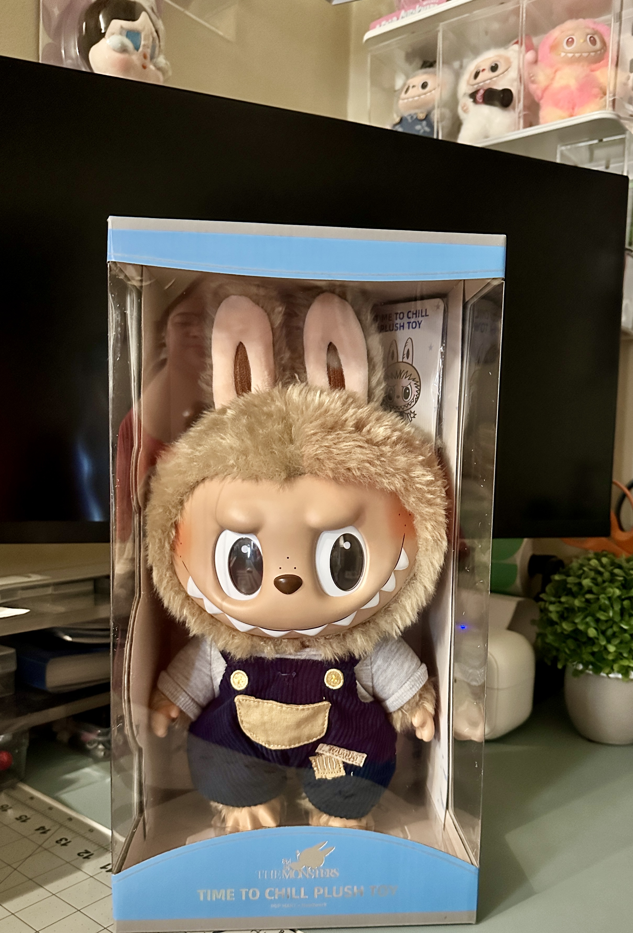 【2点】POP MART LABUBU TIME TO CHILL Plush $_57.JPG?set_id=880000500F