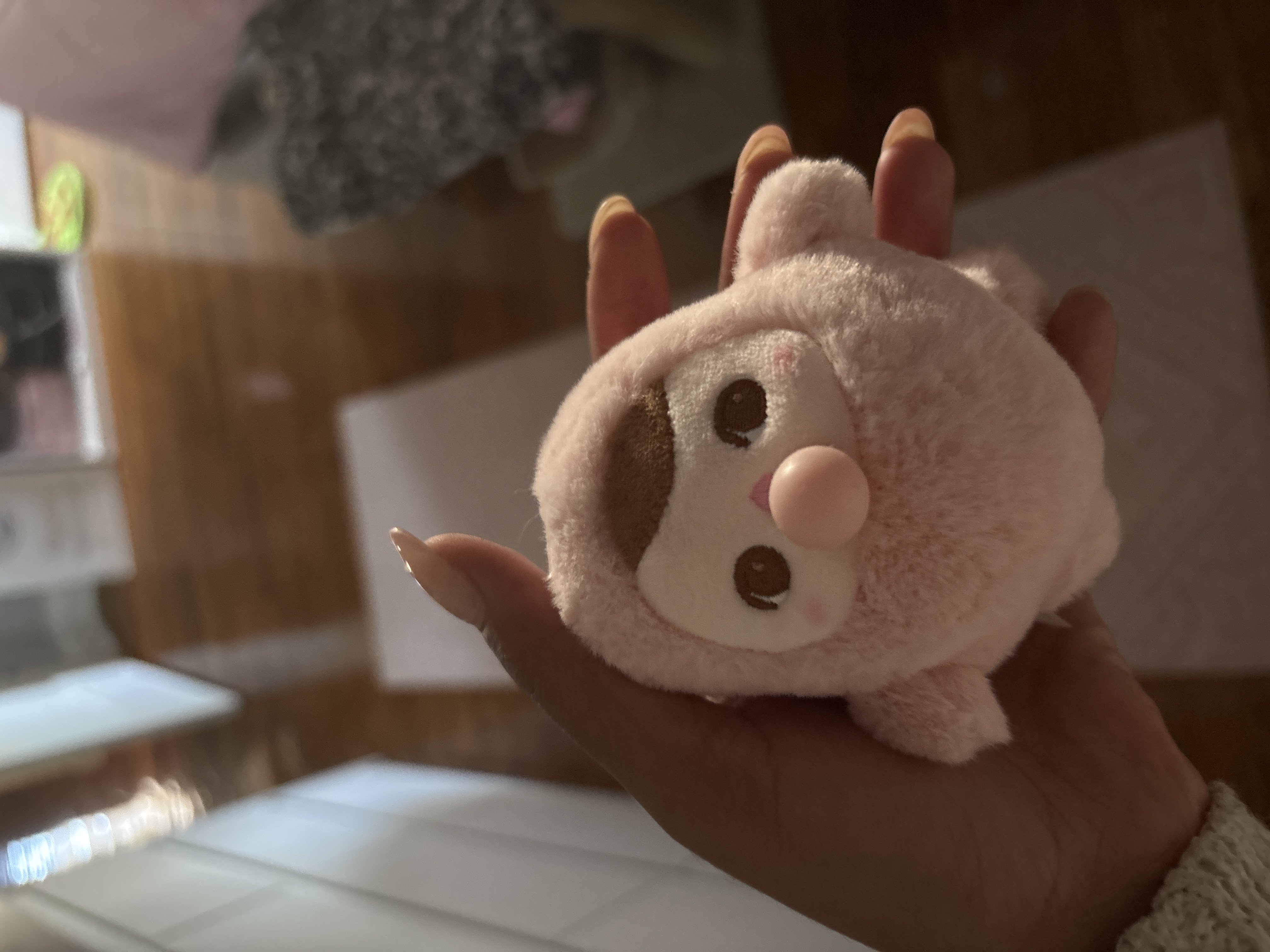 PUCKY BEANIE BUBBLE UP SERIES-Plush Pendant Blind Box - POP