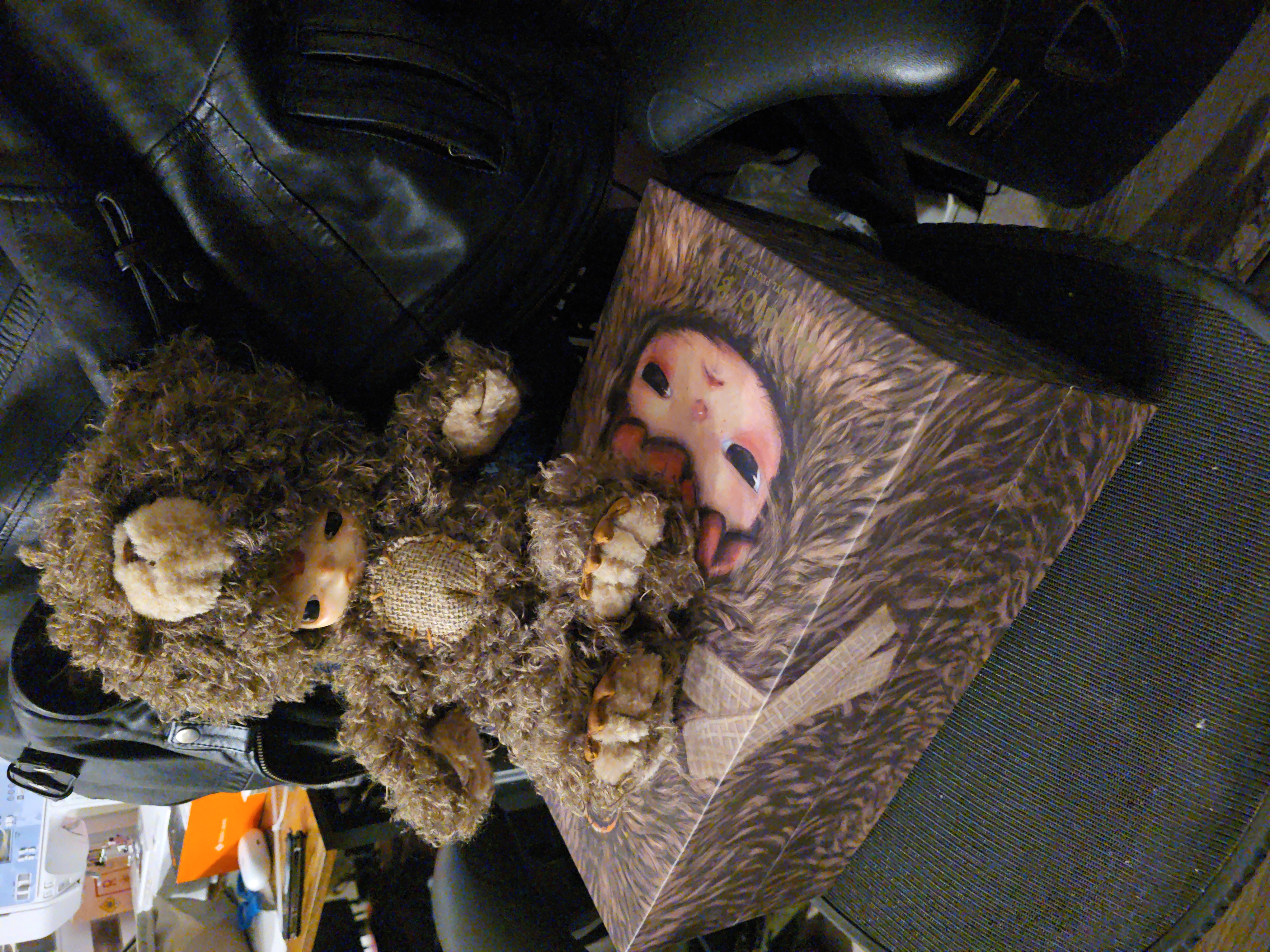 Hirono Bear Vinyl Plush Doll - POP MART (Canada)