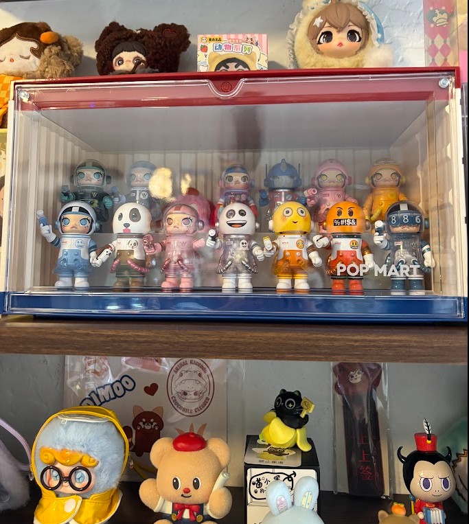 DIMOO Animal Kingdom Series | Display Containers - POP MART
