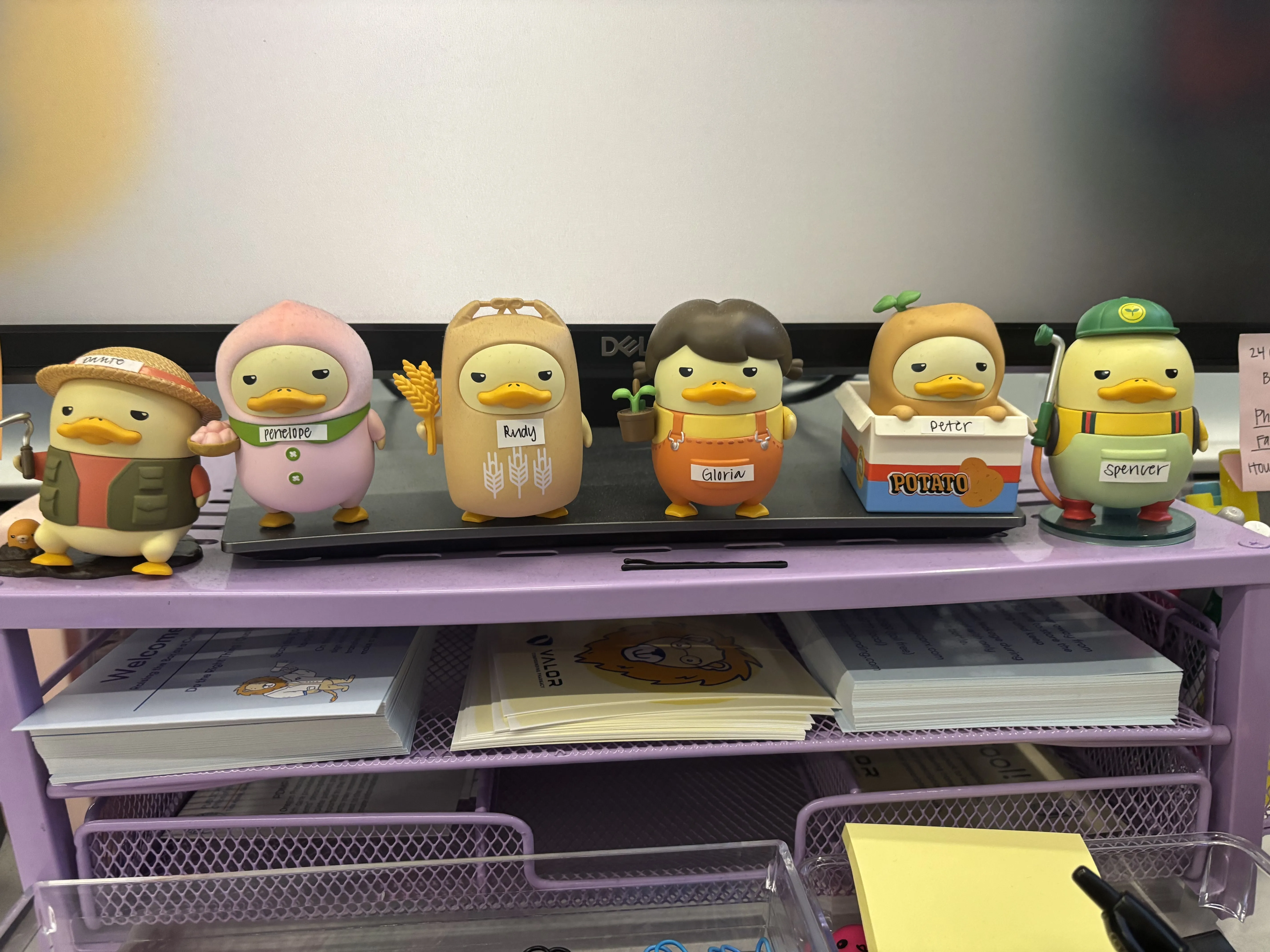 POP NOW:DUCKOO FARM Series Figures - POP MART (United States)