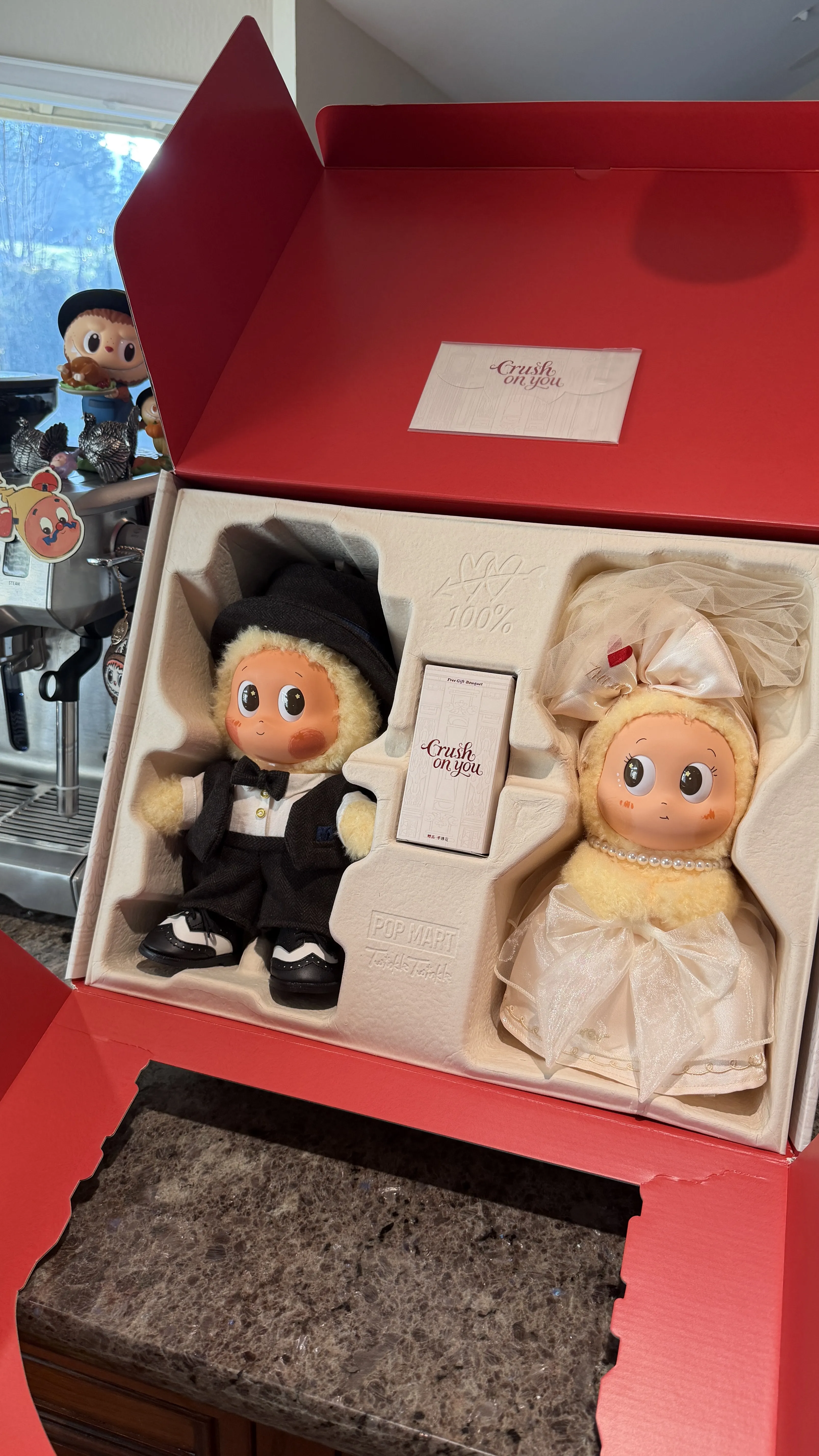 Twinkle Twinkle Crush On You Series-Vinyl Plush Doll Gift Box|POP