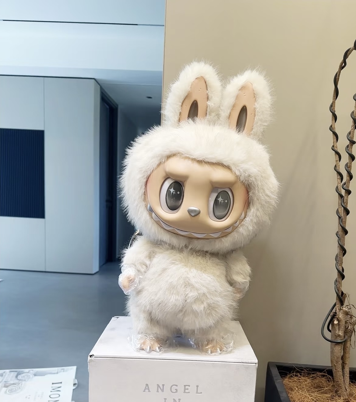 Angel in Clouds Labubu vs. White Zimomo: A Collector's Honest Breakdown