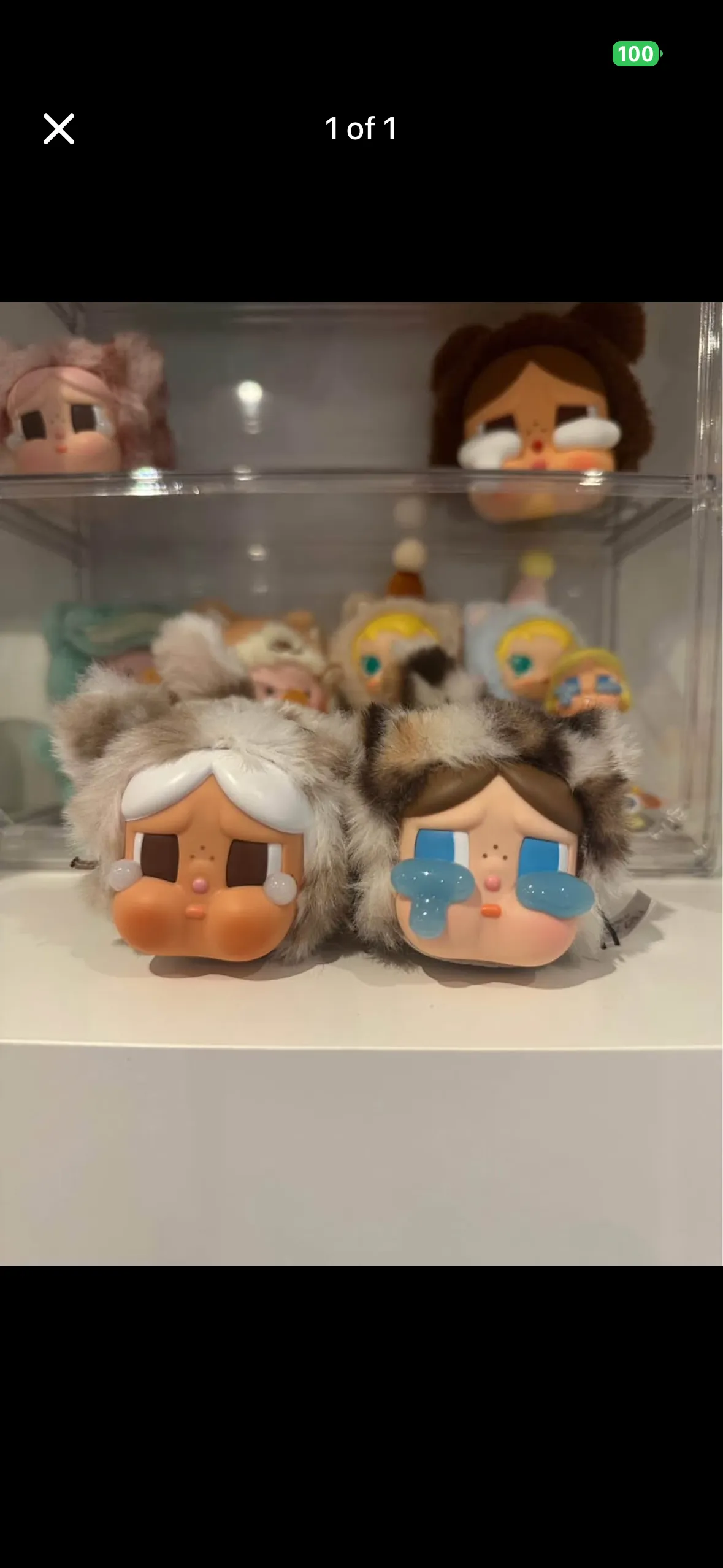 テディ POP POP NOW:CRYBABY Wild but Cutie Series - Vinyl Plush Pendant Blind