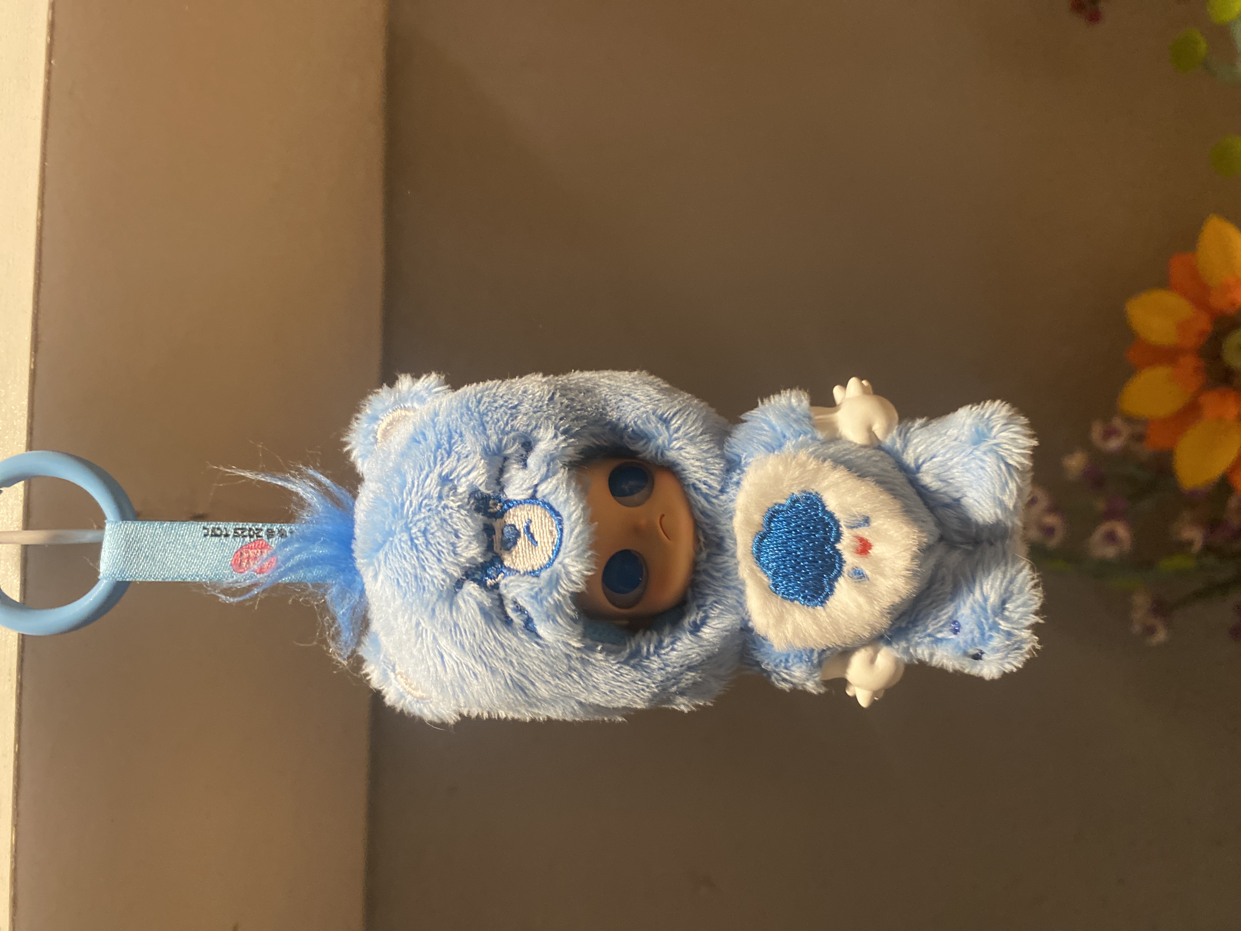 Zsiga × Care Bears Series Figures|POP MART US Official