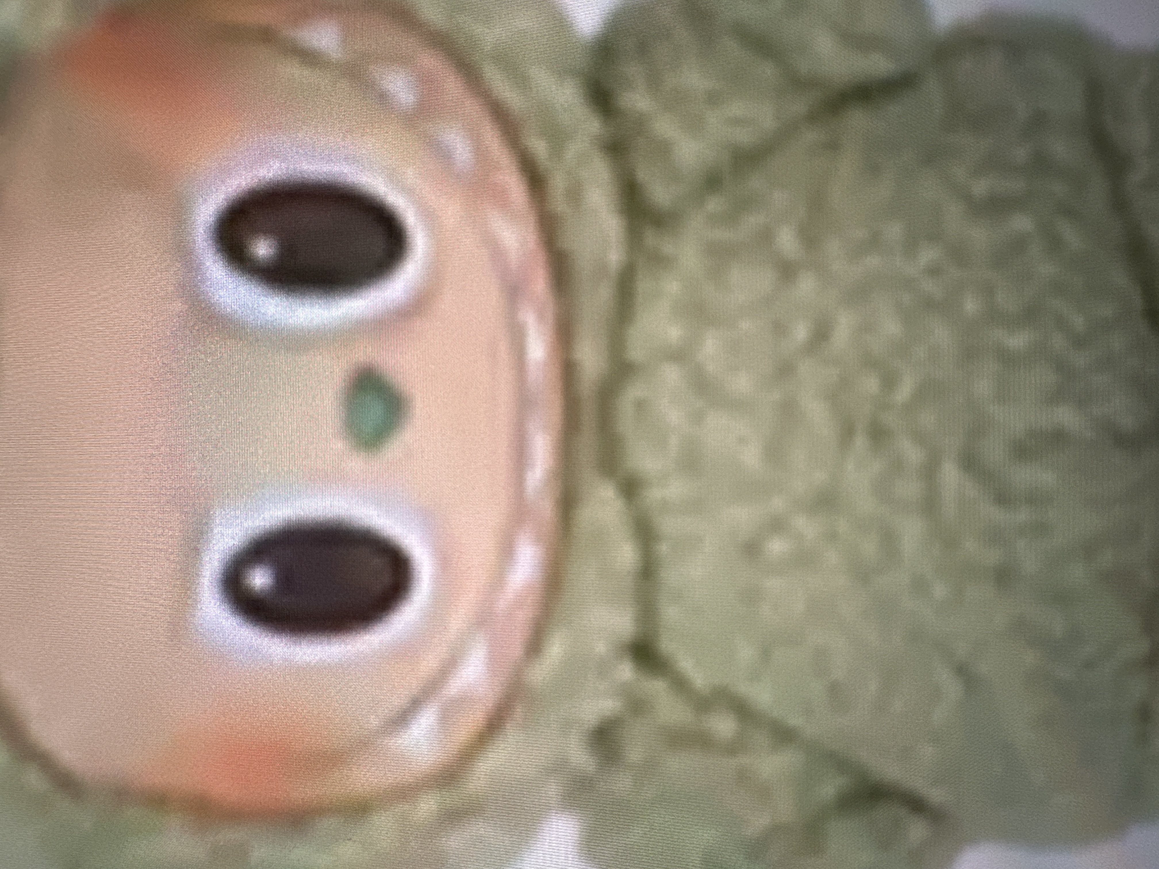 THE MONSTERS - Exciting Macaron Vinyl Face Blind Box|POP MART US