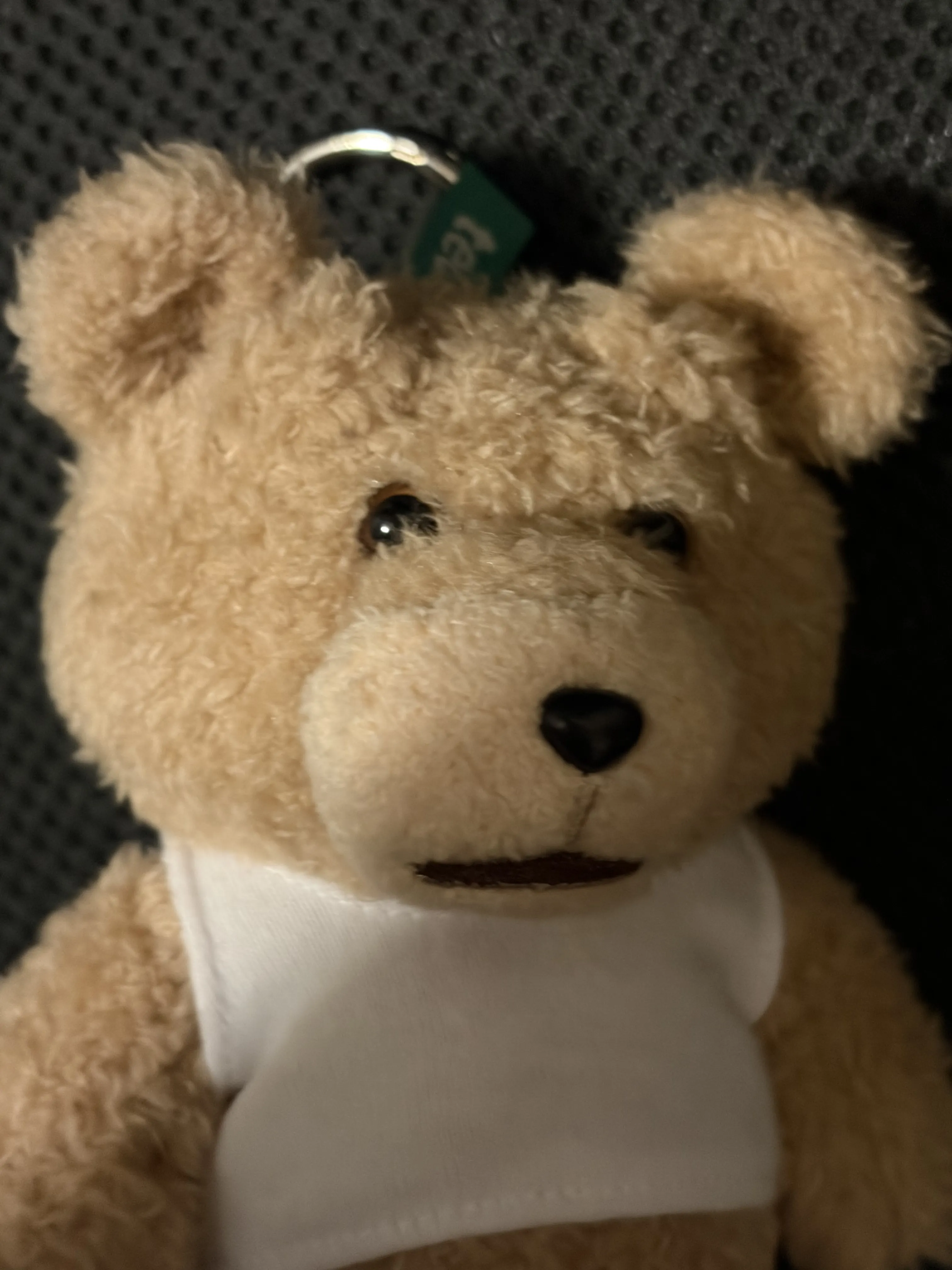 Ted2 Teddy Bear Action Plush Pendant|POP MART US Official